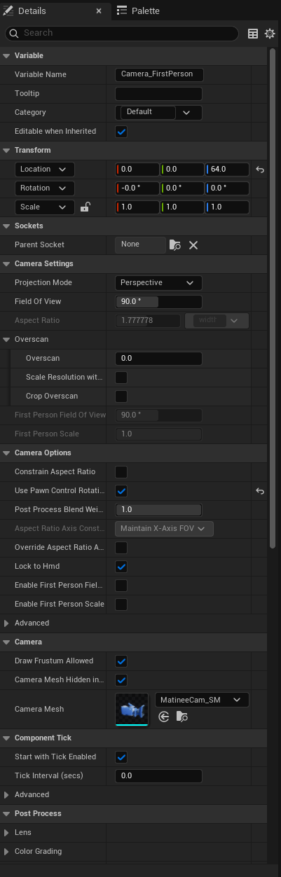 First Person Camera Settings
