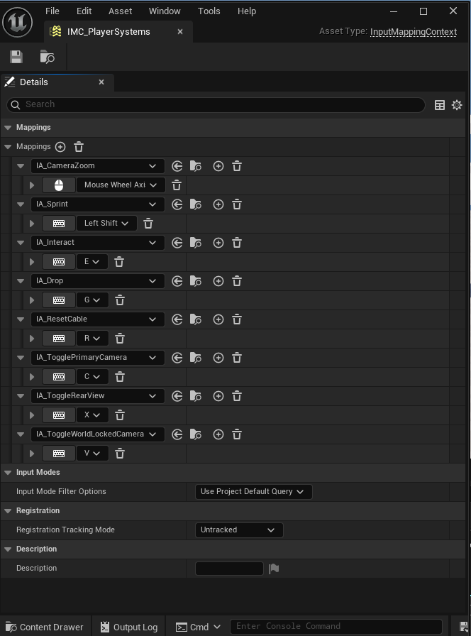 Player Systems Input Mappings